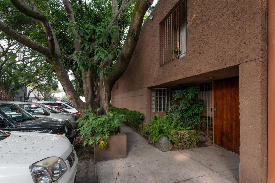 Suite 1-A Monasterio Garden House Welcome To San Angel Cidade do México Exterior foto