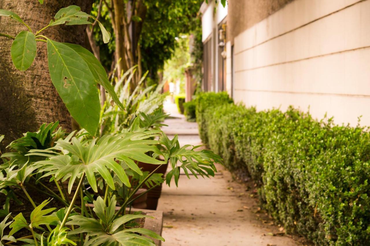Suite 1-A Monasterio Garden House Welcome To San Angel Cidade do México Exterior foto