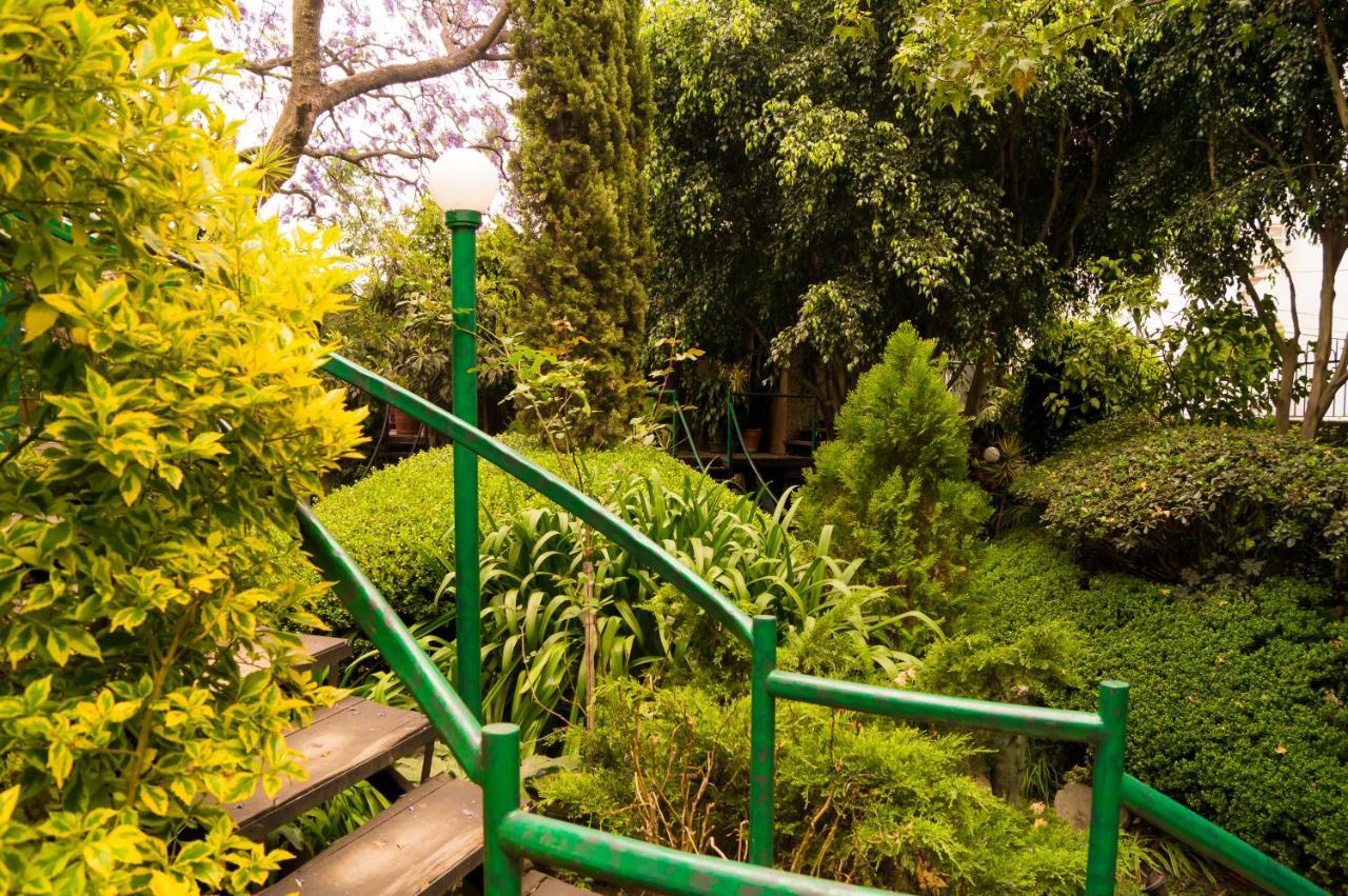 Suite 1-A Monasterio Garden House Welcome To San Angel Cidade do México Exterior foto