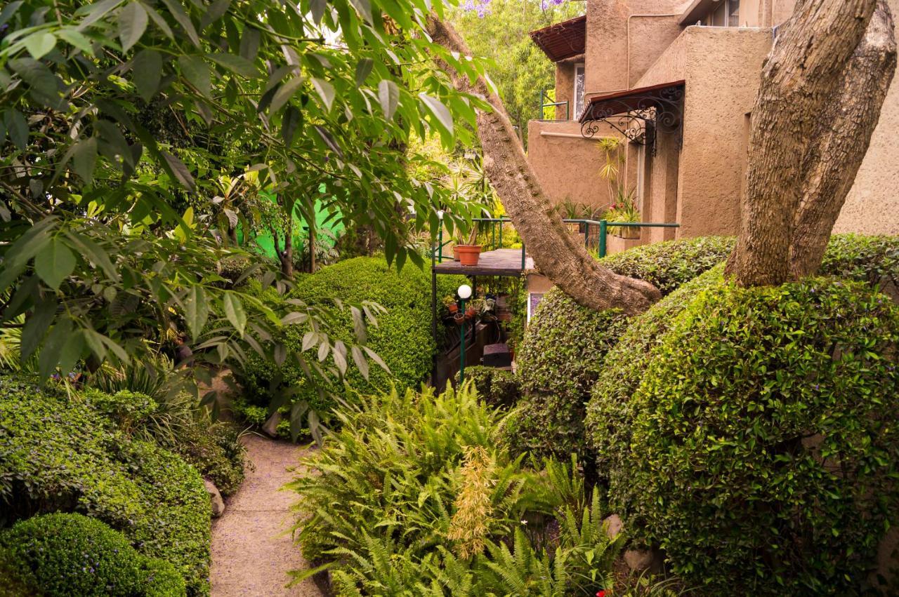 Suite 1-A Monasterio Garden House Welcome To San Angel Cidade do México Exterior foto