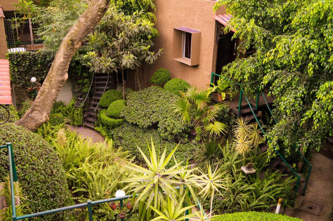 Suite 1-A Monasterio Garden House Welcome To San Angel Cidade do México Exterior foto