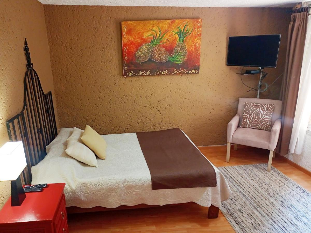 Suite 1-A Monasterio Garden House Welcome To San Angel Cidade do México Exterior foto