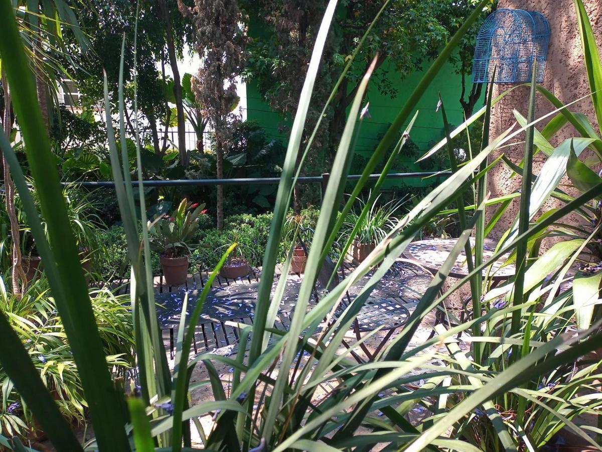 Suite 1-A Monasterio Garden House Welcome To San Angel Cidade do México Exterior foto