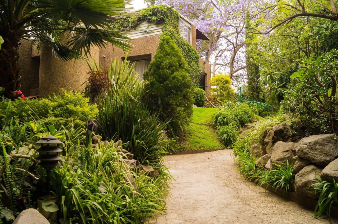 Suite 1-A Monasterio Garden House Welcome To San Angel Cidade do México Exterior foto