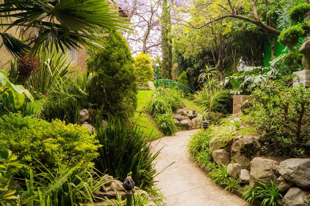 Suite 1-A Monasterio Garden House Welcome To San Angel Cidade do México Exterior foto